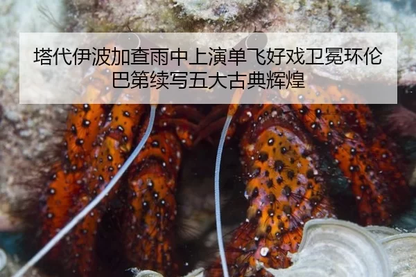 塔代伊波加查雨中上演单飞好戏卫冕环伦巴第续写五大古典辉煌
